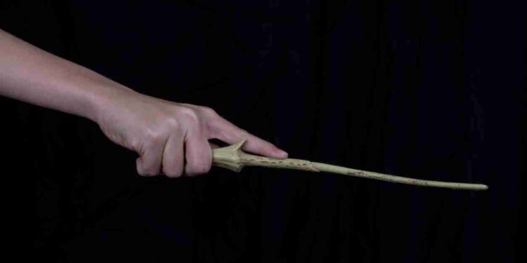 Bacchetta di Voldemort.