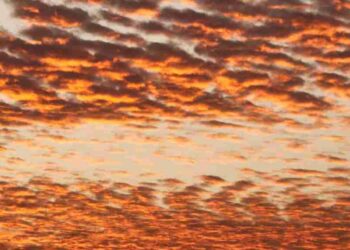 Diamo uno sguardo a Sky Rojo, serie tv Netflix creata dagli autori de La casa di carta.