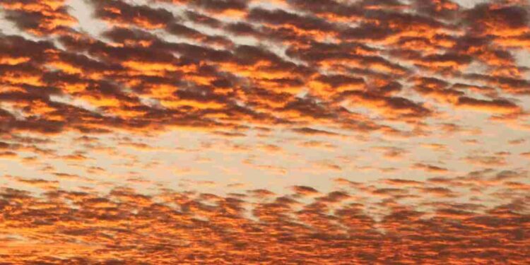 Diamo uno sguardo a Sky Rojo, serie tv Netflix creata dagli autori de La casa di carta.