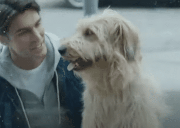 Un regalo per Natale: Libro e film - Riassunto e analisi